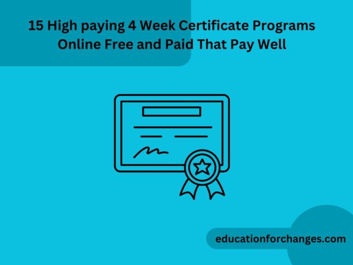 7 Best Online Courses to Boost Your Career: Elevate Your Professional ...