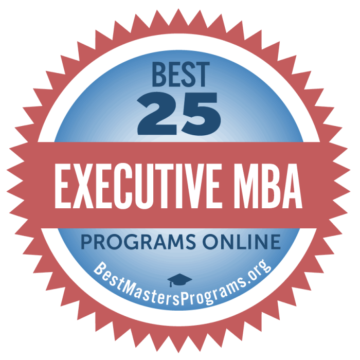The 20 Best Online Executive MBAs - MBA Central