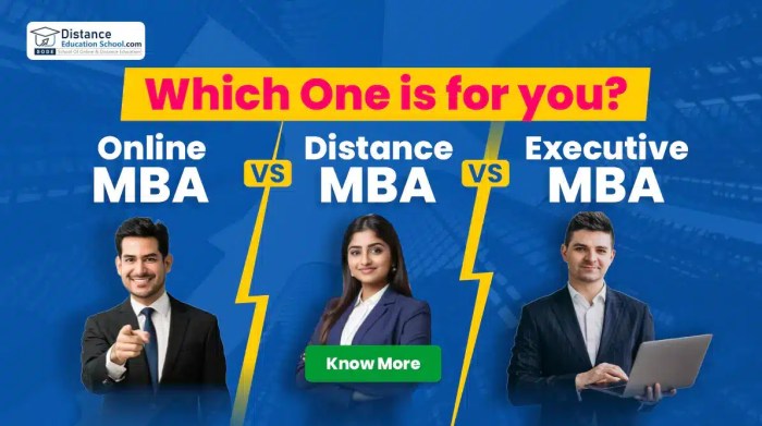 Executive MBA Programs Online Cost