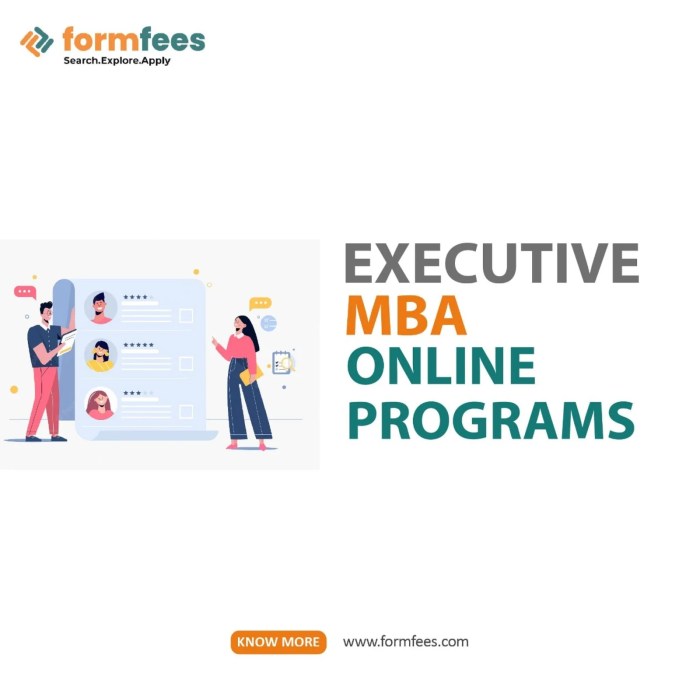 Executive MBA Programs Online Cost