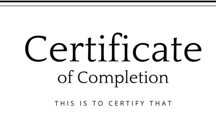 Online Courses With Certificates Recognized By Employers