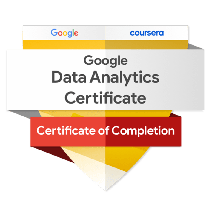 Google Data Analytics Professional Certificate Course