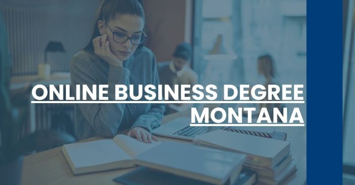 Online Business Degree Programs Accredited