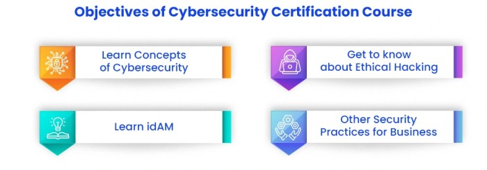 Cyber Security Certification Online Course