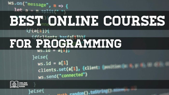 Best Programming Courses For Beginners Online