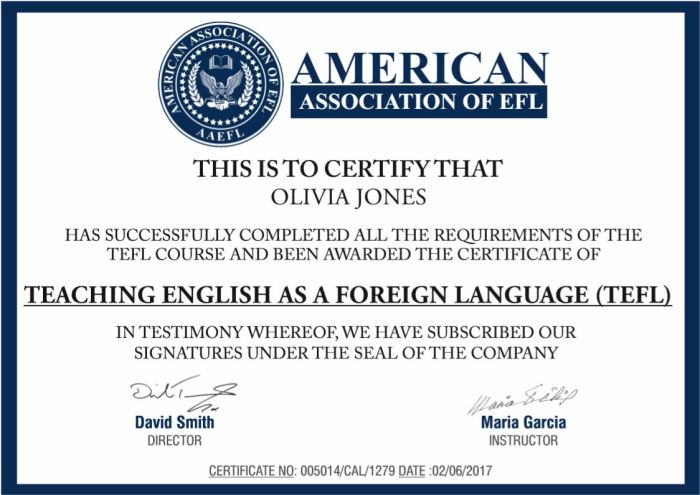 Online English Teaching Certification TEFL Course