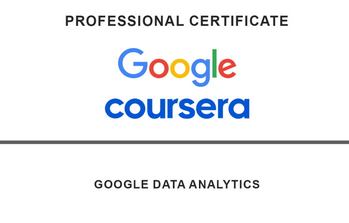 Google Data Analytics Professional Certificate Course