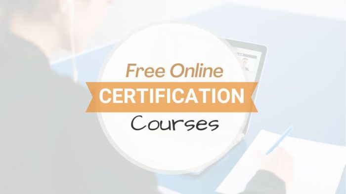Professional Certification Programs Online For Beginners