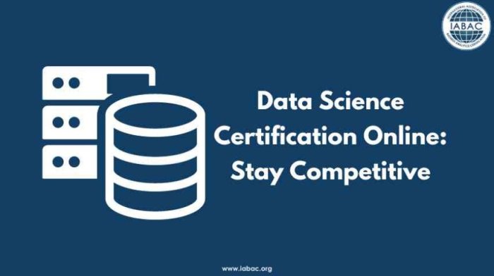 Online Data Science Certification Programs
