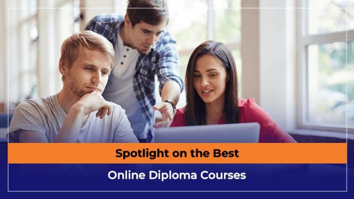 Best Online Diploma Courses