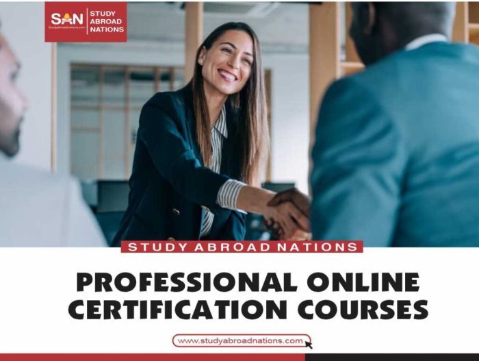 30 Best Professional Online Certification Courses.