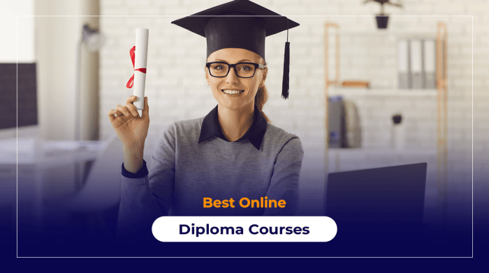 Online Diploma Courses For International Students