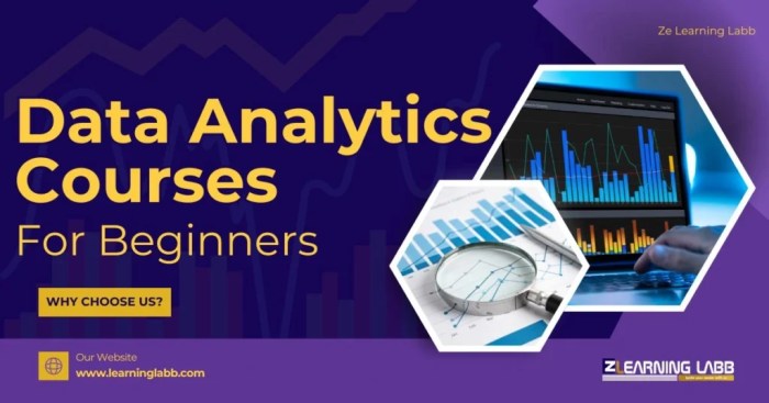Online Courses For Data Analytics Certification Beginners